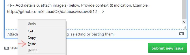 Image of pasting into github issue